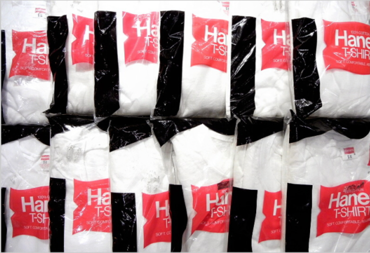 ヘインズ パックT – nest clothing store